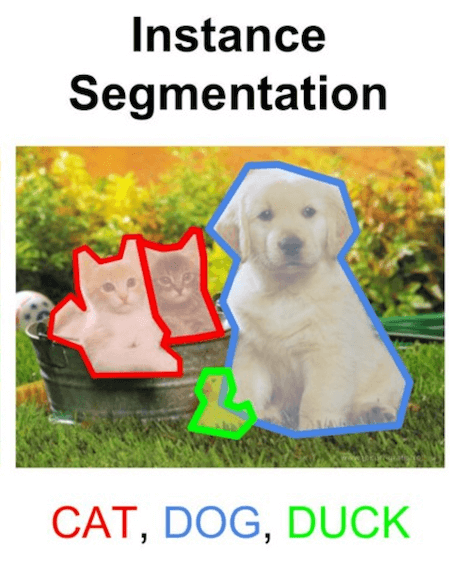 Segmentation