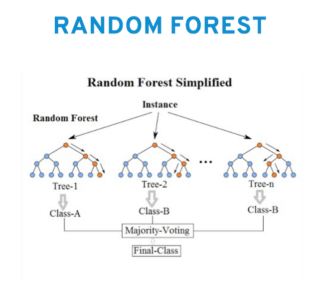 A random forest